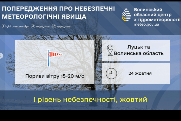 Синоптики попереджають про потужні пориви вітру на Волині