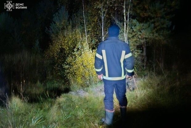На Волині знайшли зниклу жінку, яка заблукала у лісі