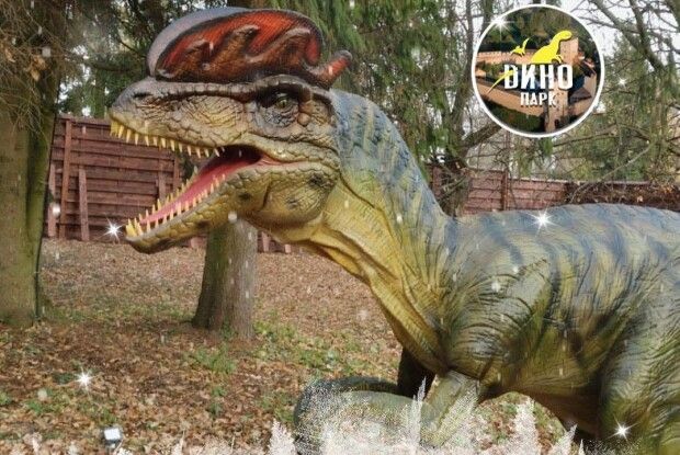 Парк динозаврів у Луцьку припиняє роботу