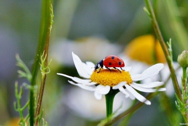 Якою буде сьогодні погода на Волині