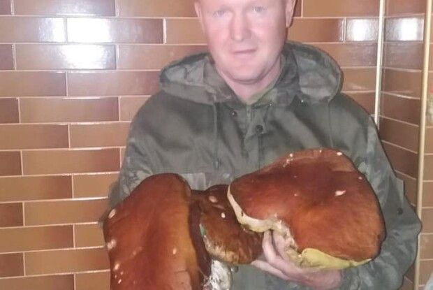 Рівнянин вполював величезного білого гриба (Фото)