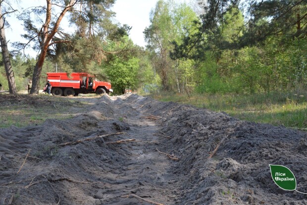 У лісах Волині й Рівненщини зафіксовано 27 пожеж