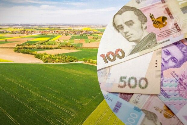 Користувався землею задарма: волинянин заборгував громаді понад 200 тисяч гривень