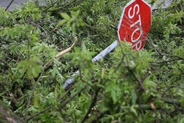 У прикордонних з Рівненщиною селах дороги завалюють деревами, щоб армія Білорусі не пройшла