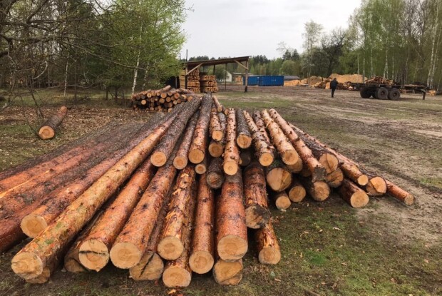 Із пилорами на Волині вилучили деревину невідомого походження (Фото)