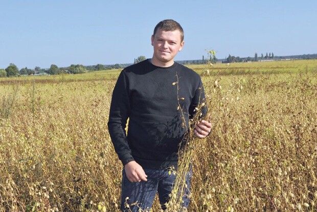 «Баранячий» горох з Волині покращує пам’ять і зміцнює серце