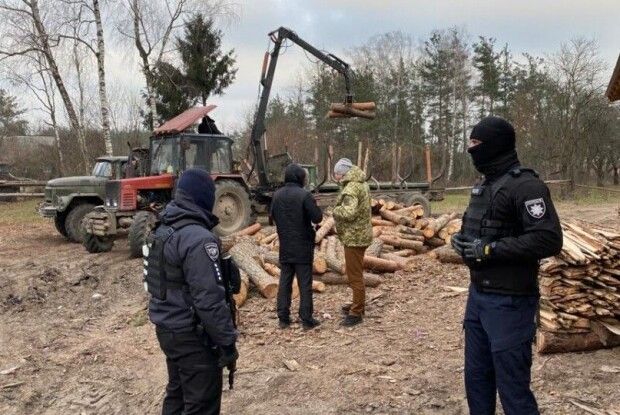 У Камінь-Каширському районі – масові обшуки. Підозрюють незаконну вирубку лісу