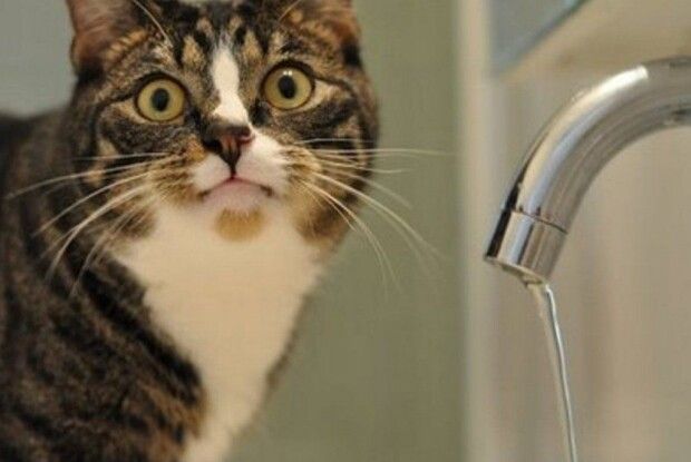 У Луцьку 12 будинків залишилися без гарячої води