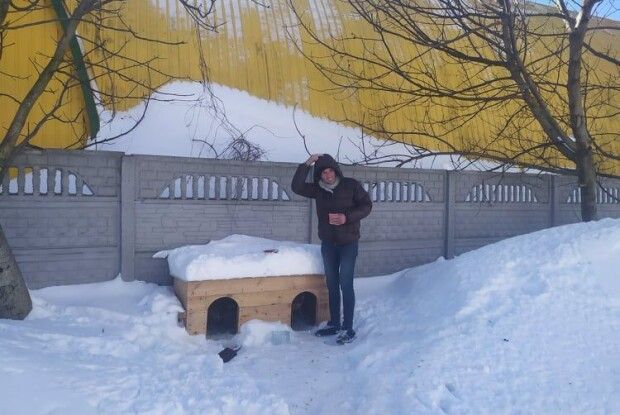 Жителі 55 мікрорайону Луцька встановили у дворі двомісні апартаменти для песиків (Фото)