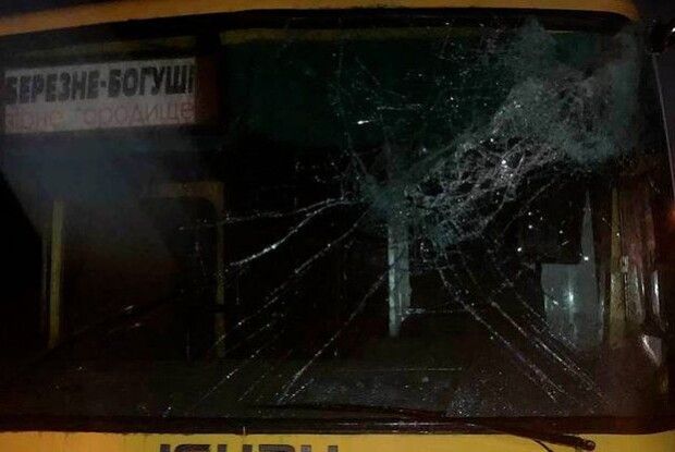 На Рівненщині колода з вантажівки влетіла в маршрутку: подробиці ДТП з лісовозом 