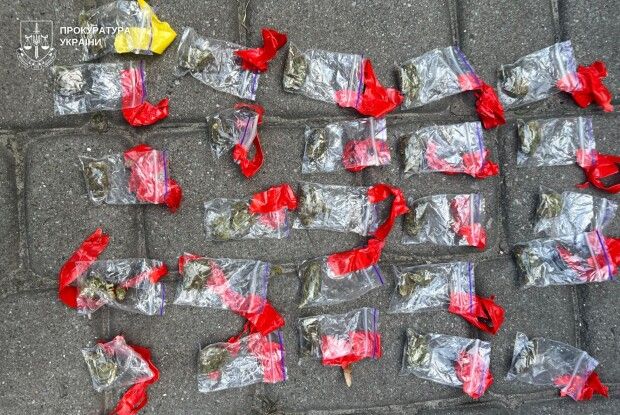 У Львові жінка для наркобізнесу використовувала свою 5-річну доньку як прикриття
