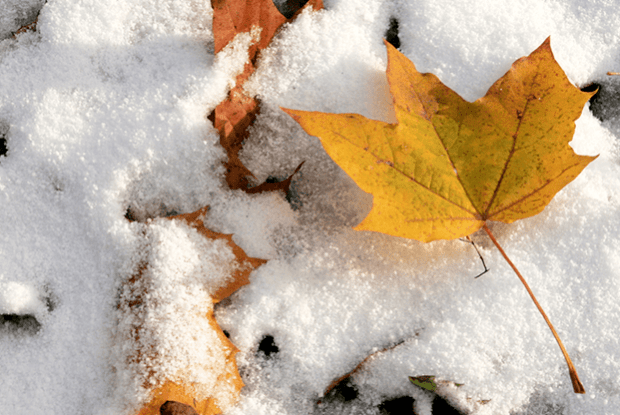 Завтра на Волині сніжитиме: прогноз погоди