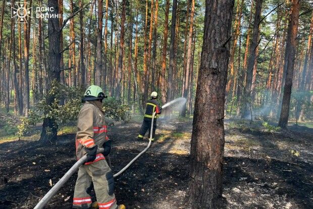 На Волині палають ліси та торфовища: пожежники працюють на межі сил