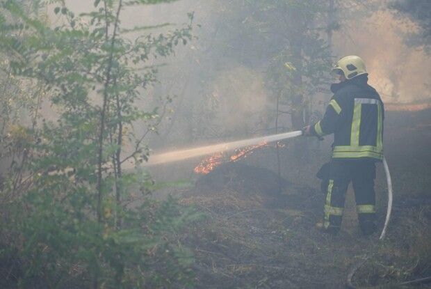 У Луцькому районі на Волині упіймали 7 підпалювачів
