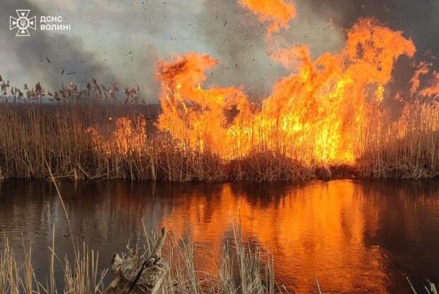 На Волині рятувальники долають пожежу на болоті