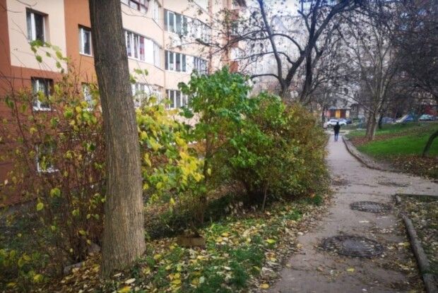 Рівнянка знайшла серед міста ящик із патронами (Фото)