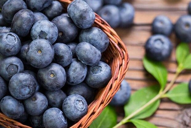 Скільки на Волині коштує перша «ягода довголіття»