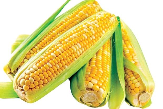 «Хоч рівні зуби має, та в хустки ховає…»: суперові рецепти страв із кукурудзи