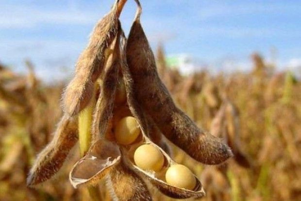 Позмагаємося з Китаєм та ЄС?