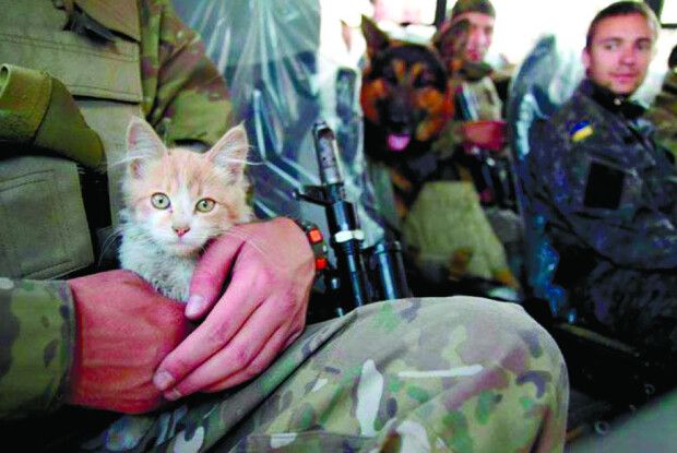 Як волонтер рятував побратима Ваську