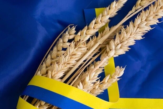 Яка ситуація на кордоні Волині з білоруссю у День Конституції України