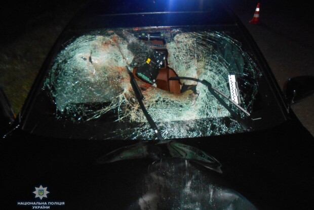 Судитимуть жителя Новограда-Волинського, який на Рівненщині збив на «зебрі» пішохода й накивав п'ятами