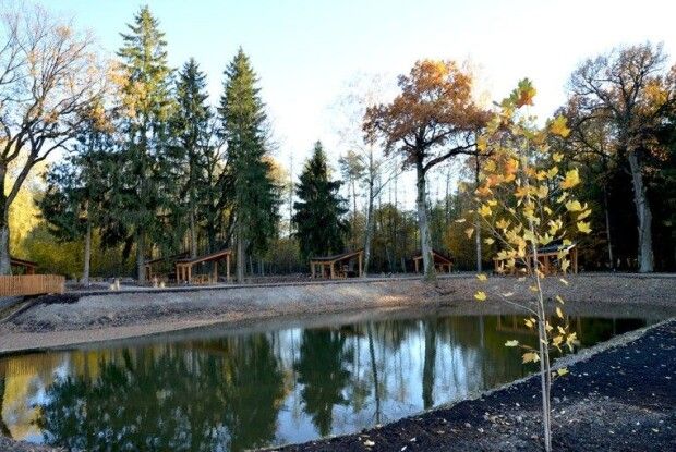 На Волині лісівники створили сучасні зони відпочинку нового формату (Фото)