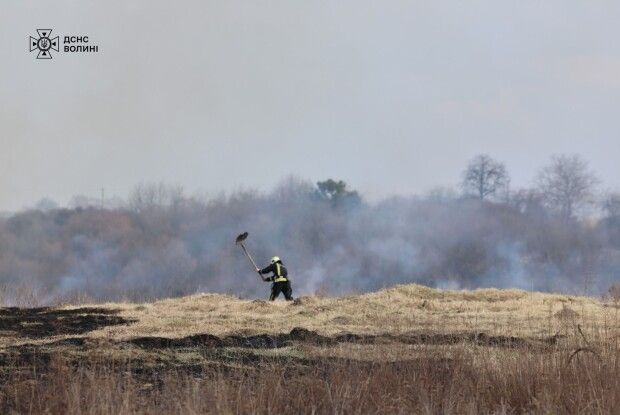 Згоріло півтора гектара трави: на Волині знову виявили палійку 
