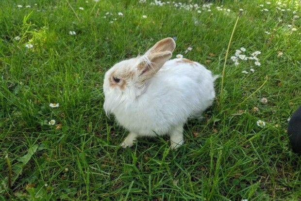 Синоптики розповіли, яким на Волині буде початок літа 