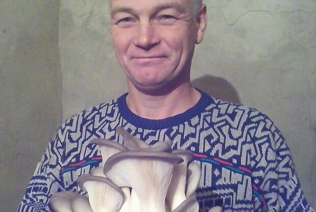 Камінь-каширець вирощує гливи у домашніх умовах і їсть їх сирими