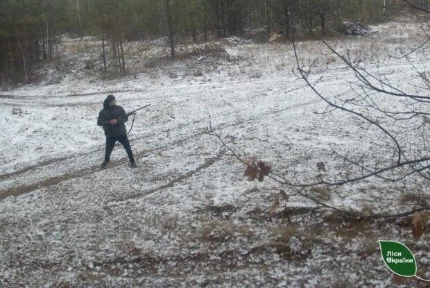 На Волині фотопастка допомогла затримати браконьєра