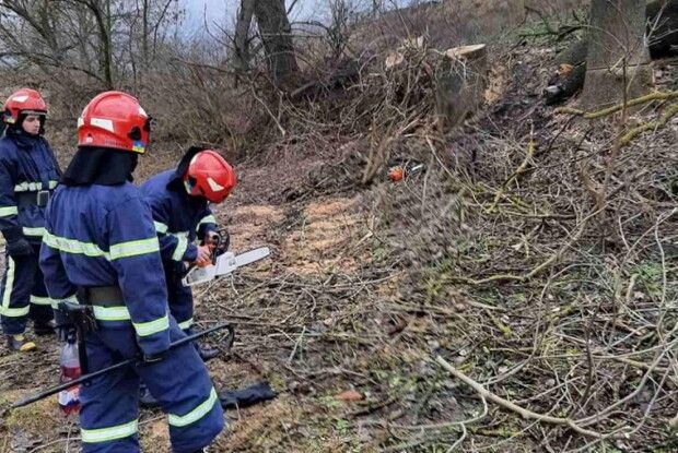 Внаслідок падіння дерева загинув волинянин