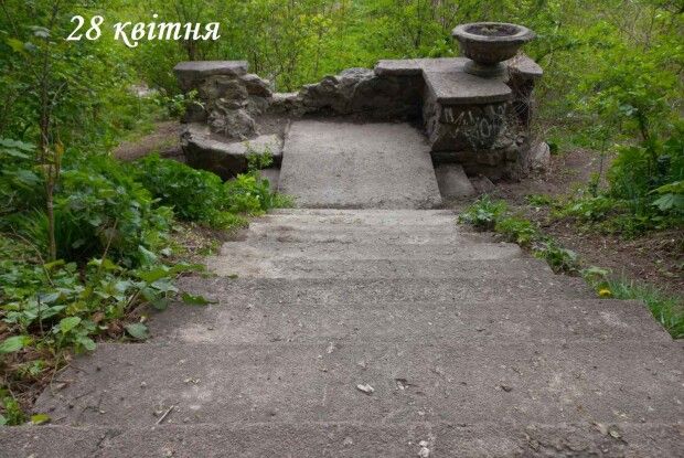 Лучанка обурена тим, що зробили невідомі у ботанічному саду
