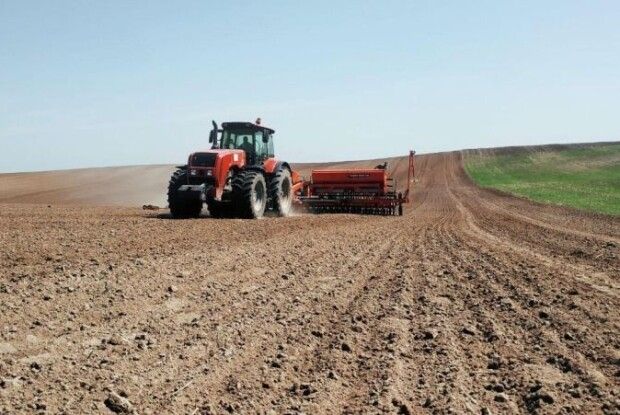 Волинь у п'ятірці лідерів весняної посівної