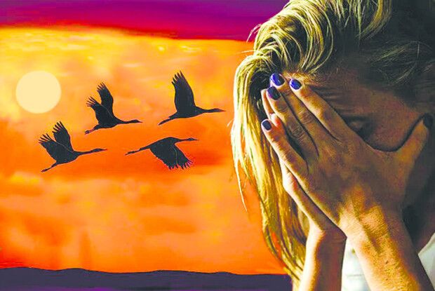 «Не відлітай, Івасику-Телесику...». Історія для душі