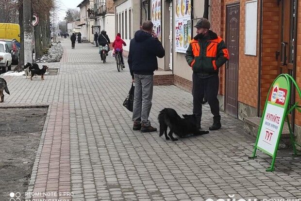 У місті на Волині на людей напали і покусали собаки