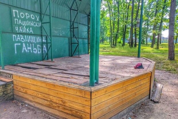 На Волині у міському парку дивом не травмувалася дитина