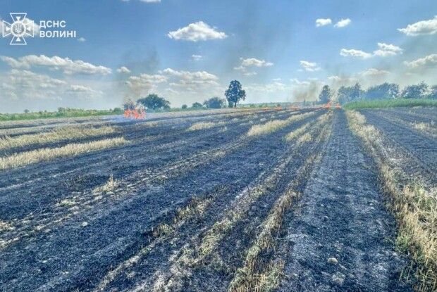 Волинянин ледве не спалив зернове поле
