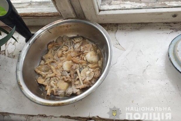 Ймовірно, закушували самогон опеньками: на Житомирщині за дивних обставин померла пенсіонерка та дві її дорослі доньки