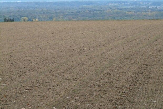 ЄСПЛ визнав мораторій на продаж сільгоспземель порушенням прав людини