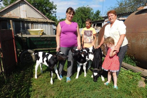 Одне із трьох новонароджених телят Мані назвали на честь дружини Дональда Трампа
