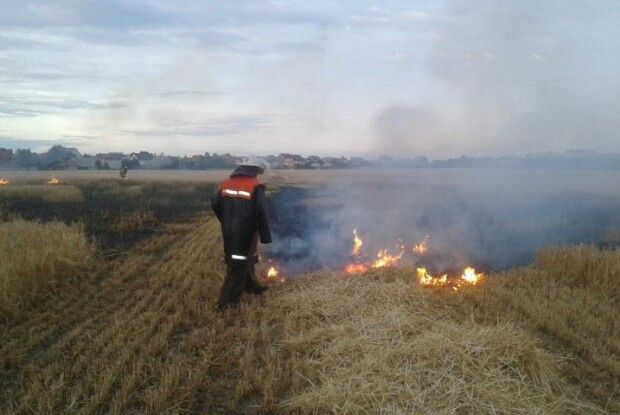 Рятувальники виявили палія, через якого горіло поле під Луцьком
