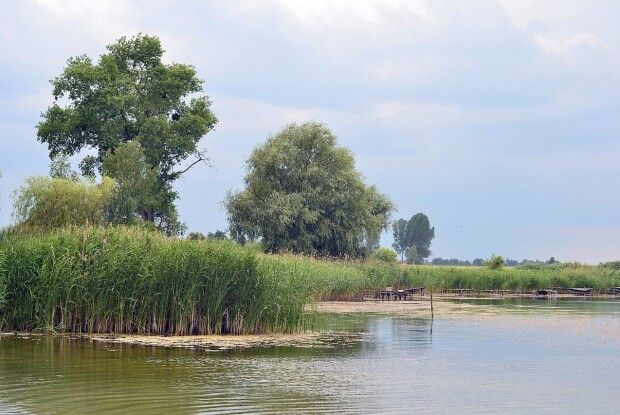 Прокуратура Волині виявила незаконну забудову у заповіднику на Турійщині