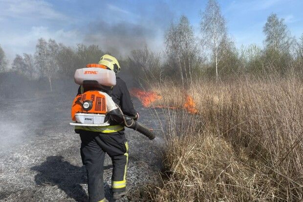 На Волині упіймали молоду підпалювачку сухої трави