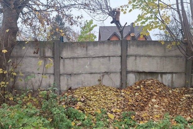 Лучанин отримав протокол за «прибирання» свого подвір'я