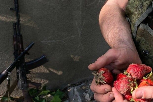 На Херсонщині окупанти влаштовуються до місцевих збирати полуницю