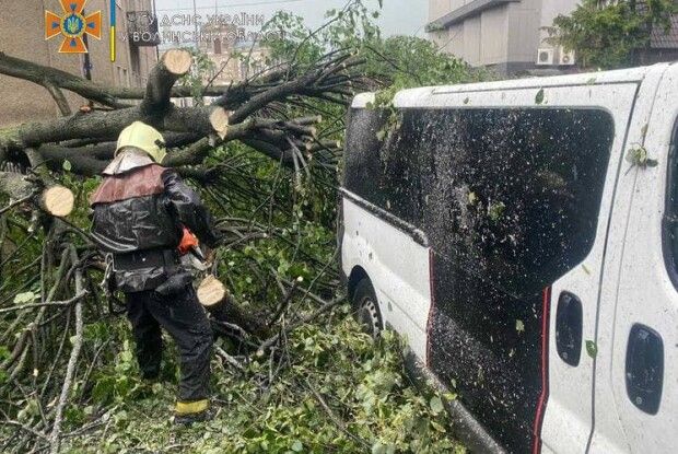 На Волині сильний дощ із градом... «вимив» із землі картоплю (Фото. Відео)