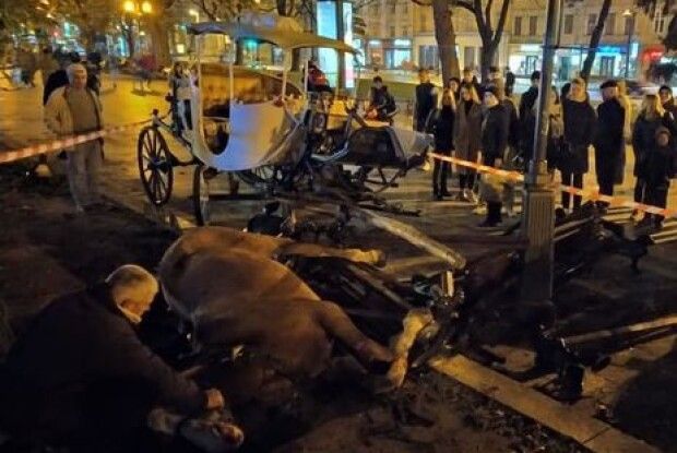 Налякані феєрверком коні травмували двох людей у центрі Львова