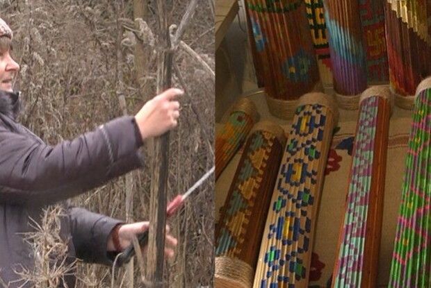 Лучанка перетворює отруйний борщівник у музичні  інструменти