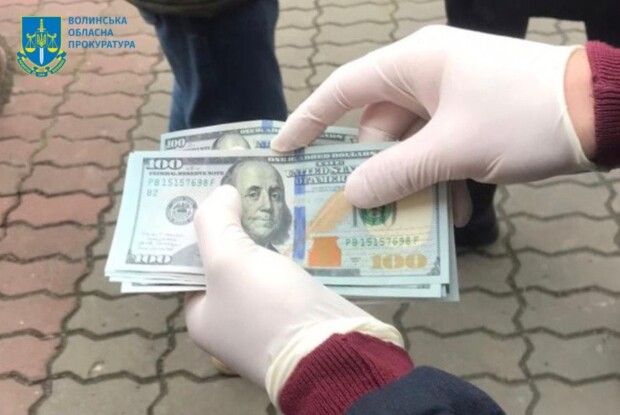 Апеляційний суд залишив чинним вирок двом експосадовцям Держекоінспекції на Волині